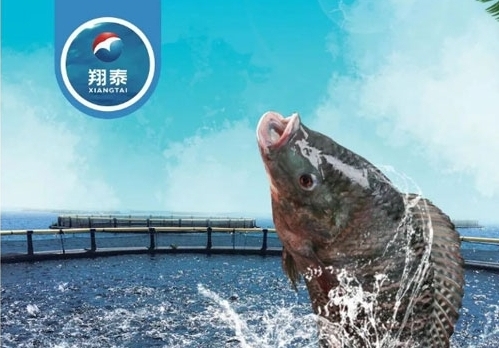 翔泰漁業(yè)深耕【海南鯛】近二十年，堅持高品質水產品穩(wěn)定供應，不斷創(chuàng)新研發(fā)產品以滿足不同市場需求！