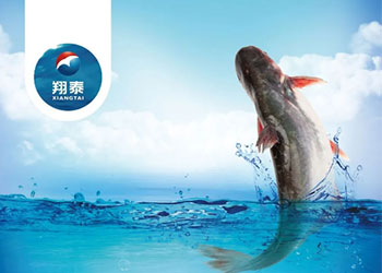 繼金鯧魚、海南鯛之后！翔泰漁業(yè)全力打造第三條精品魚【海南巴沙魚】